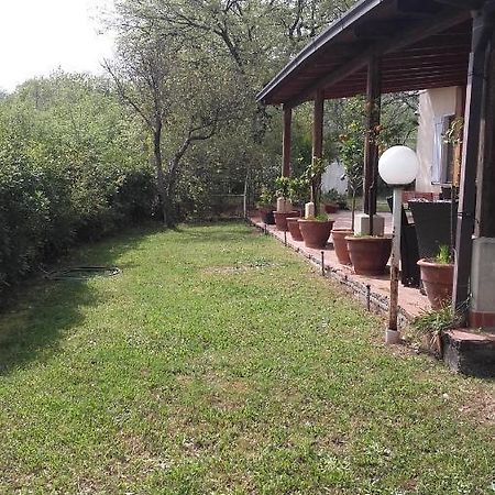 ريندي Bed & Breakfast Suite المظهر الخارجي الصورة